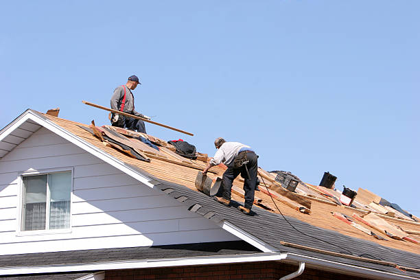 Best Roof Moss and Algae Removal  in West Lafayette, OH